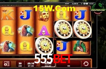 API Integration 555bet